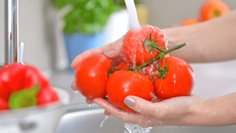 hands of a person washing tomatoes under tap water