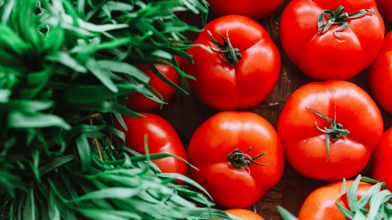 red tomatoes surrounded by green leaves
